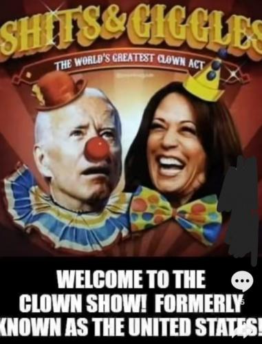 Screenshot_20221205-053048_Gallery