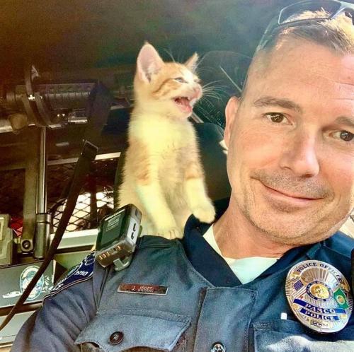 1A69C683-B334-40A9-BC22-B7356FBEC895