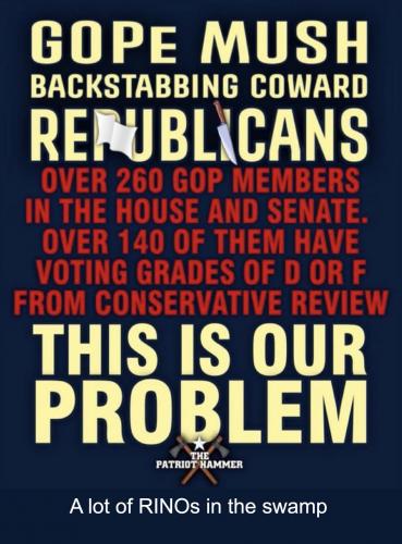 140 Rinos in swamp