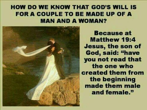 80309f5c-3cfe-4246-a44d-cf9b9e0174fe