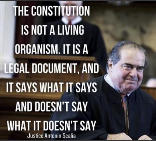 Scalia on Constitution