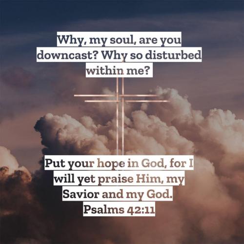 00b00d53-dcd3-4ae7-b914-4291dca23aff