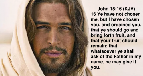 John 15.16