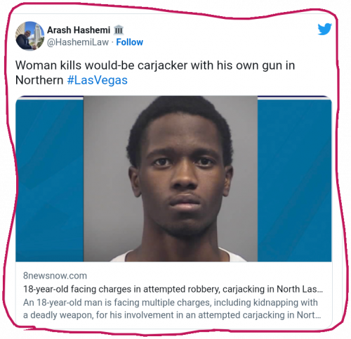 snapshot_gopnewsfeed.com_1671156915294