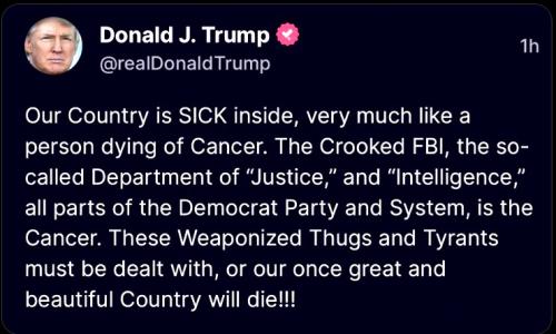Trump ~Sick Three Letter Agencies~