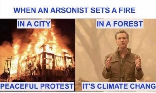 ArsonistCityVsForestLiberals