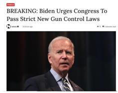 LiberalStrictGunControlLaws