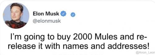 Musk 2000 W names
