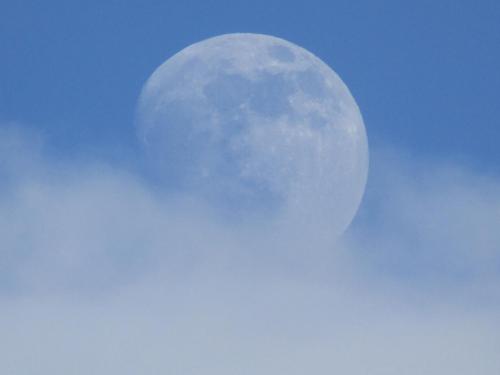24 Jan 2021 - 1623 hrs