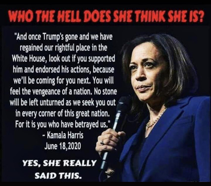DemocratLiberalsMindSet