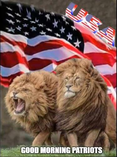 Good morning Patriots - Lions