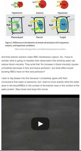 1E19762F-249B-4A1E-B2BE-9A6804D88201