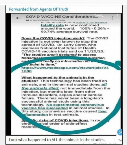 All the animals died