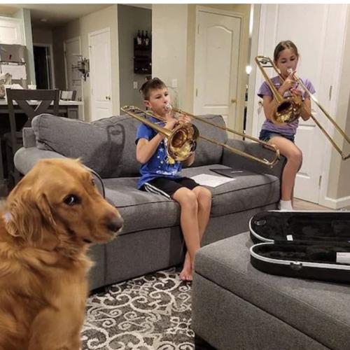 5357F174-DA1D-420A-94AB-05CF1E87B1EE