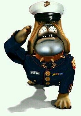 Devil dog salute