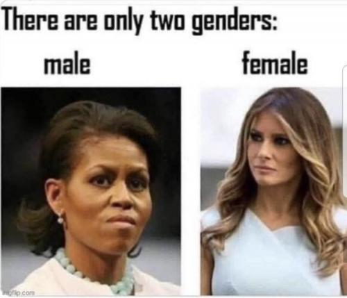 3F1FABFD-8EFE-476D-989F-1792855AA274