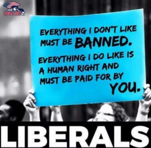 EverythingThatLiberalsDoNotAgreeWith