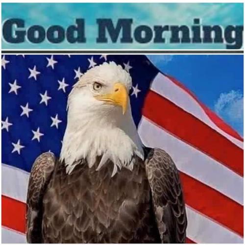 Flag & Eagle & Good Morning