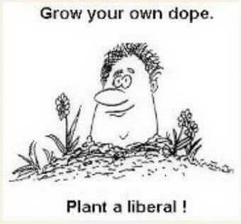 liberal 4 - dope