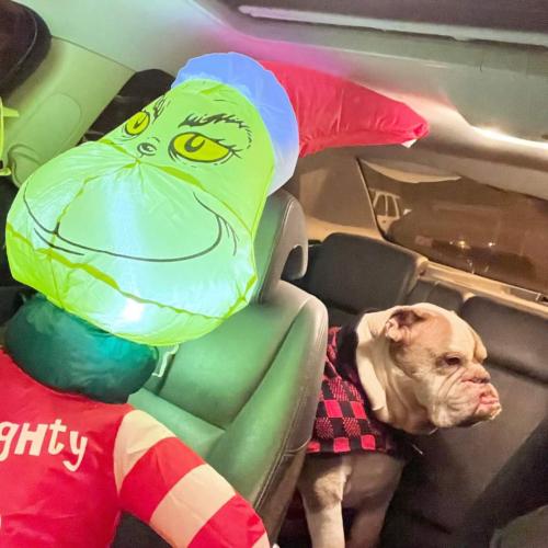 FB_IMG_1670205366240