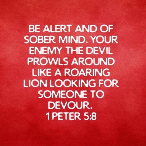 651091f0-00f0-4813-8686-12b8df735962