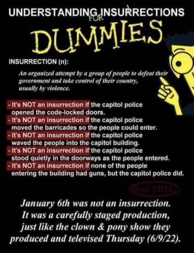 insurect for dummies