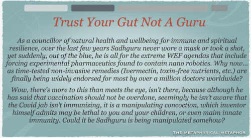 Screen Shot 2022-12-30 at 12.33.49 PM