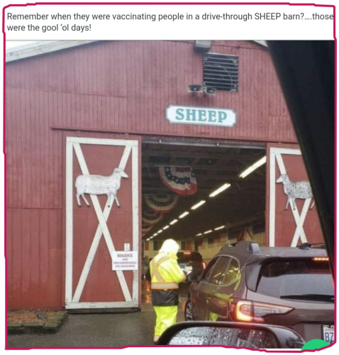 snapshot_gab.com_1672323527567