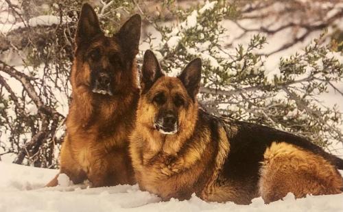 475890D4-2FEE-4C2E-80F7-4612168535CE