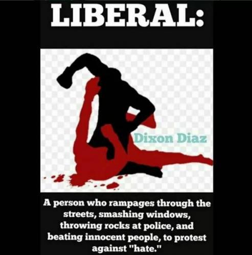 AllLiberalsAreGoodFor