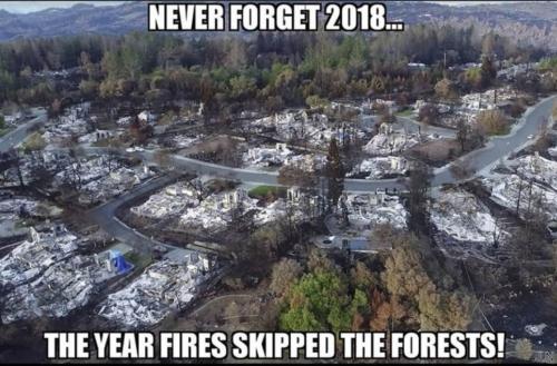 2018 fires skipped trees