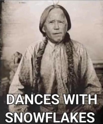 dances w snow flakes
