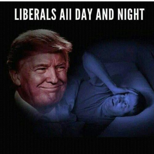 LiberalsAllDayAndNight