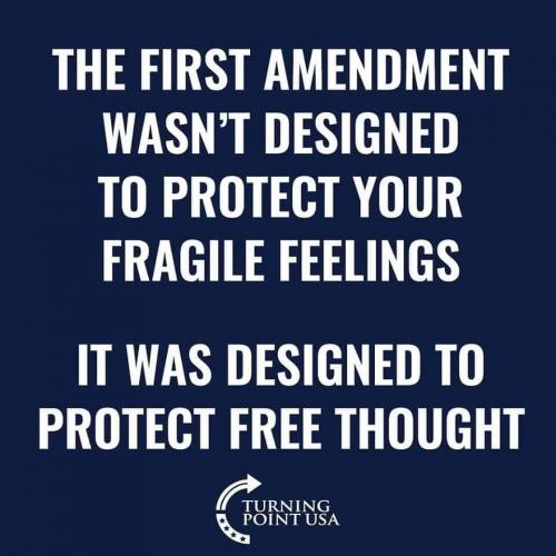 M 1st Amendment