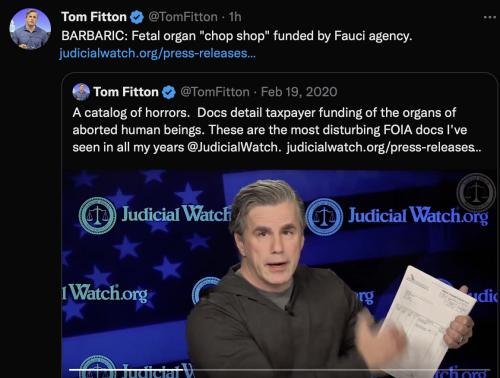 fetal chop shop