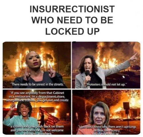 insurrectionist