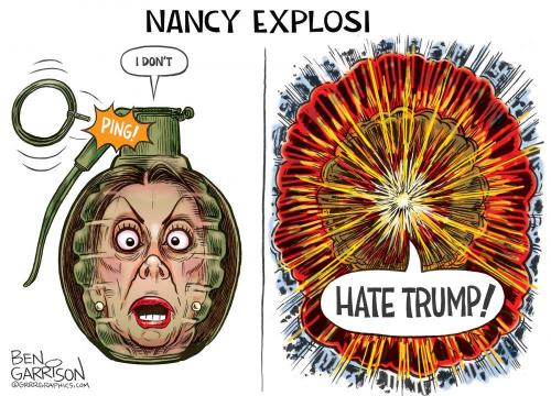 NancyPelosiLiberalsLosingIt