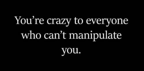 img - 2022-12-19T152107.494