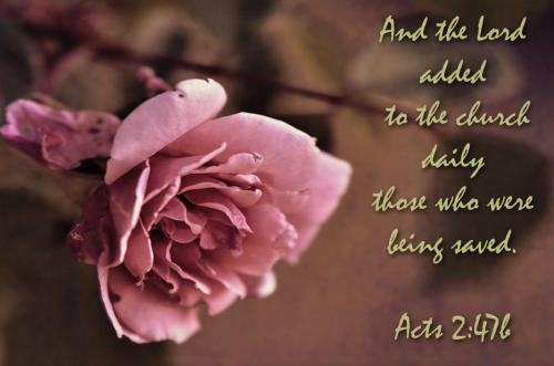 121822 - Acts 2-47