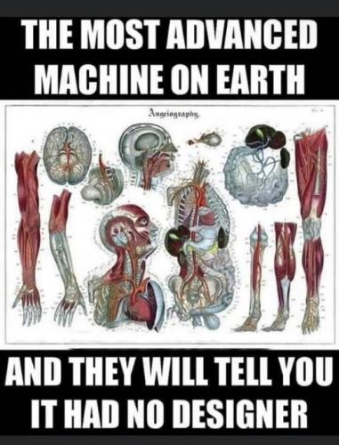 irreducible complexity