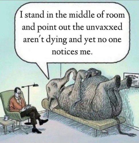 UnVaxxed