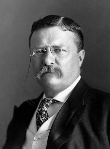 teddy Roosevelt