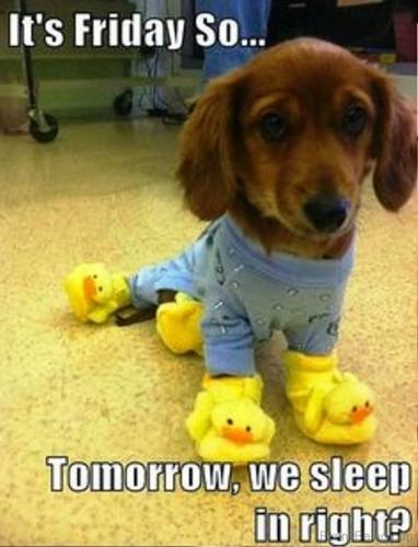 13-It’s-Friday-So-Tomorrow-meme