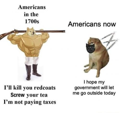 vpXBEfS