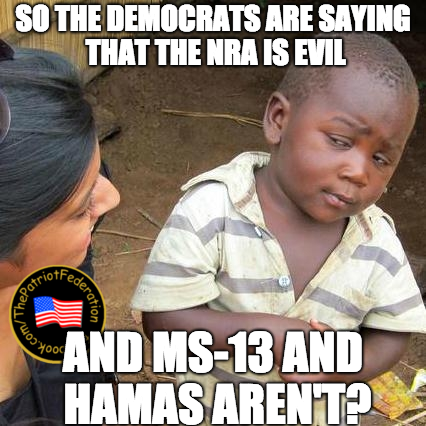 LiberalsSayNRAisEvil