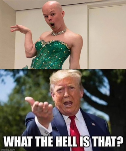M what the Hell