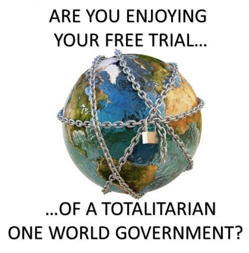 1 world government