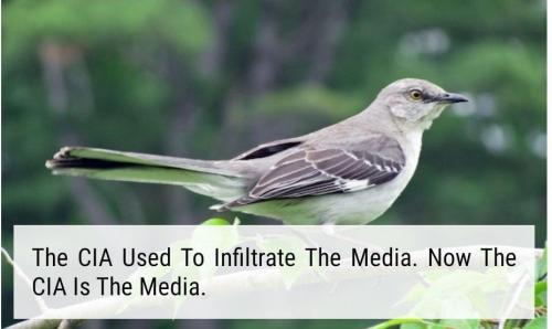 37f1d4a5-03e3-46b4-b49c-b4fe1eff2c6a