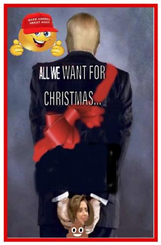 ALL WE WANT FOR CHSTMAS