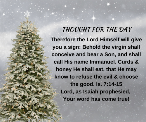 TWEET 12-19-22